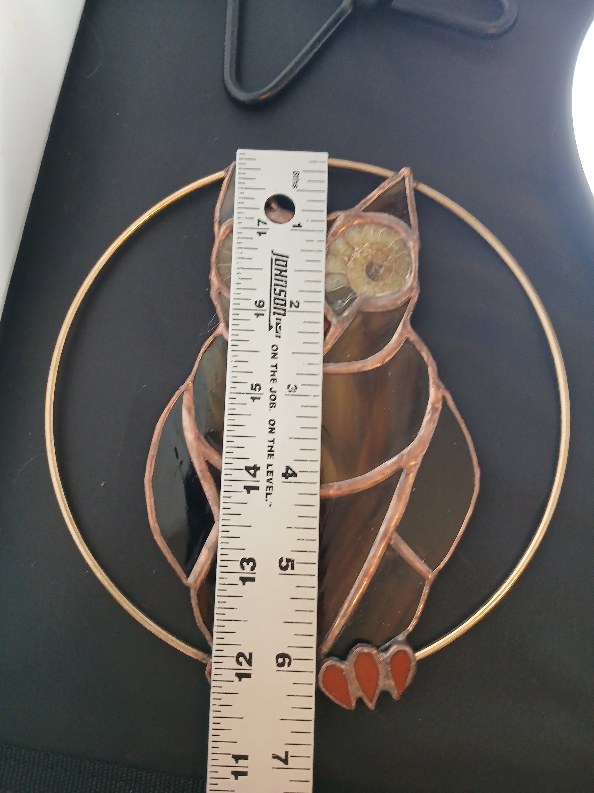 Ammonite Owl