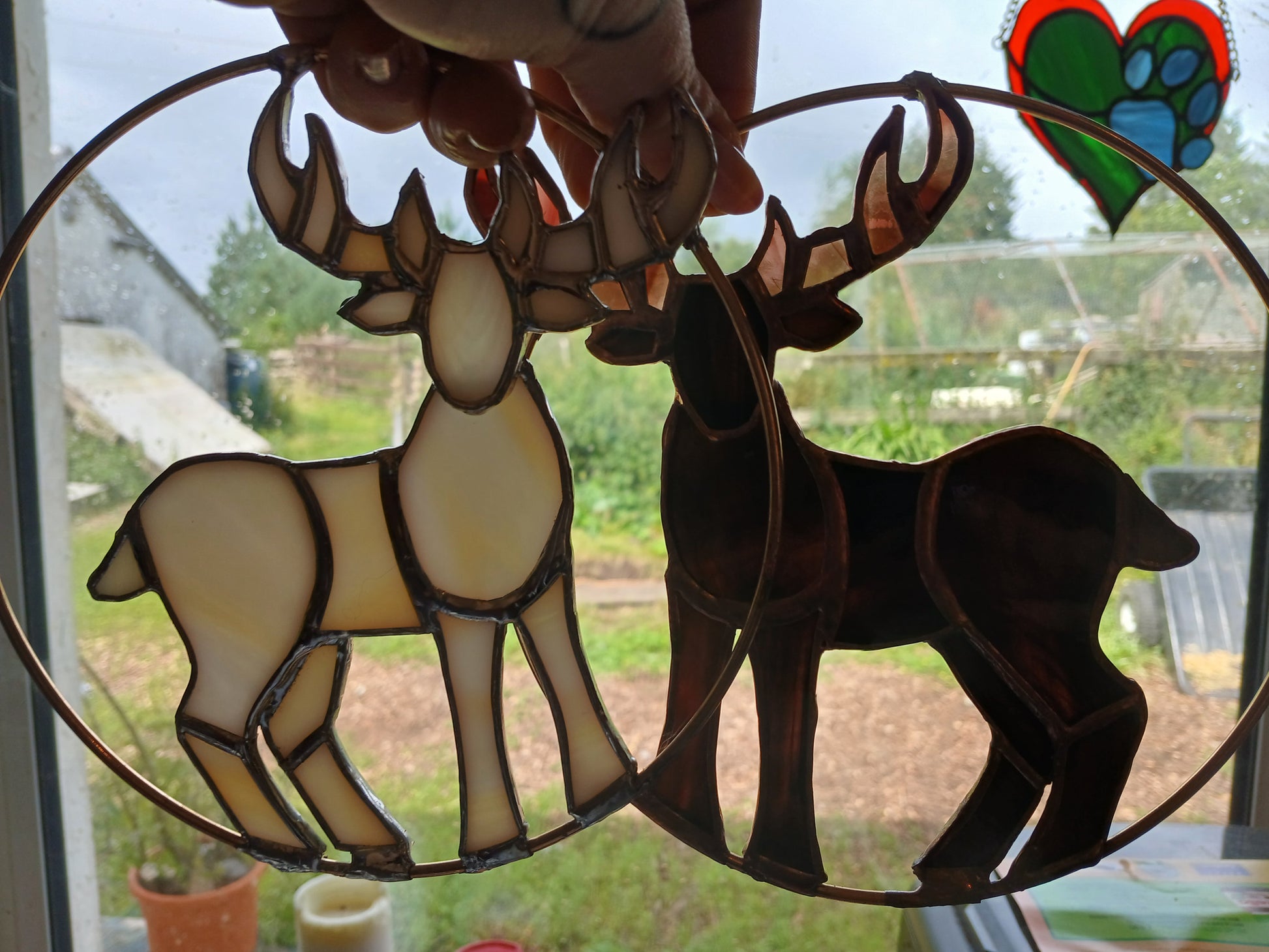 Dark and Light Stags