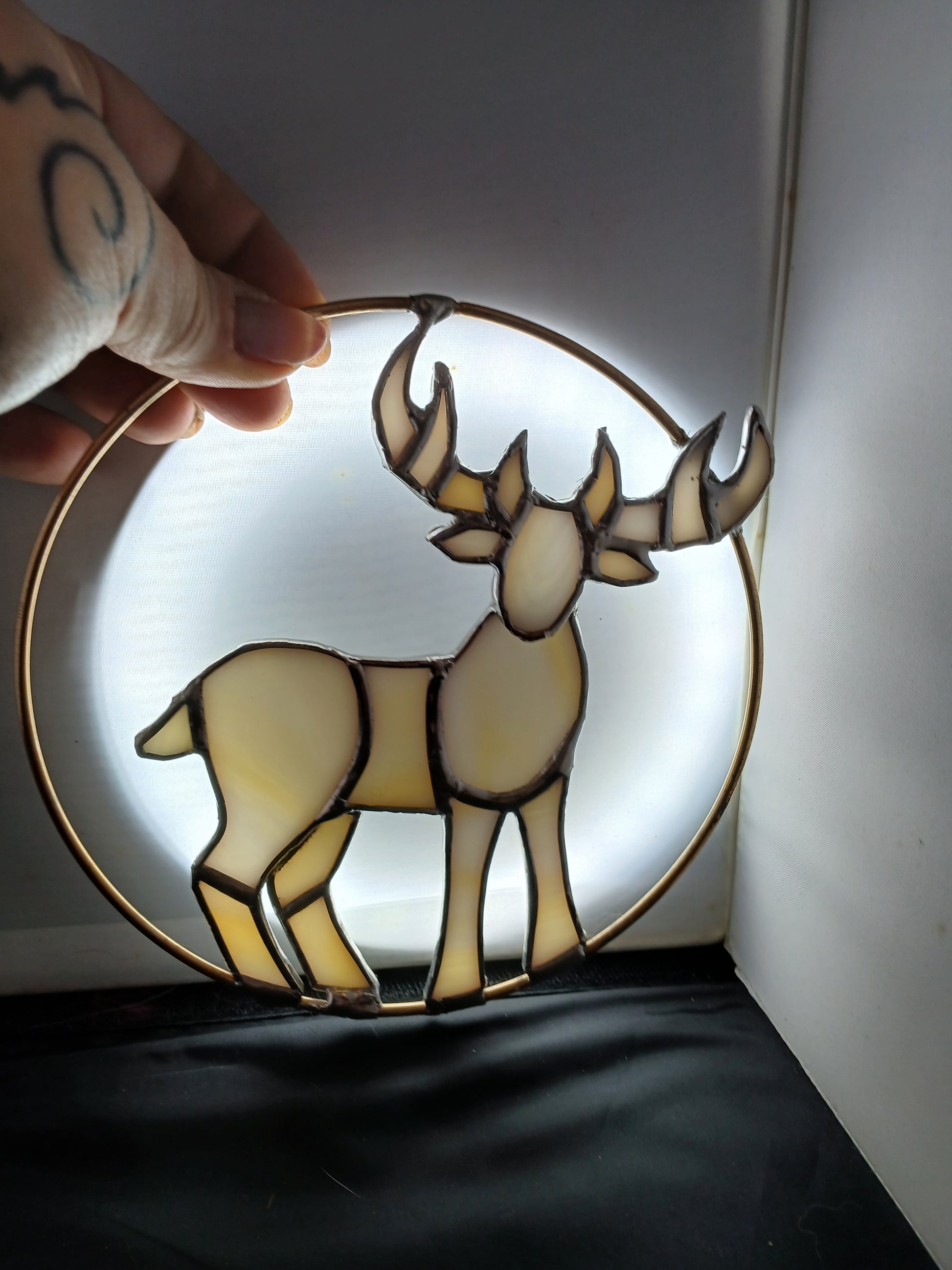 Dark and Light Stags
