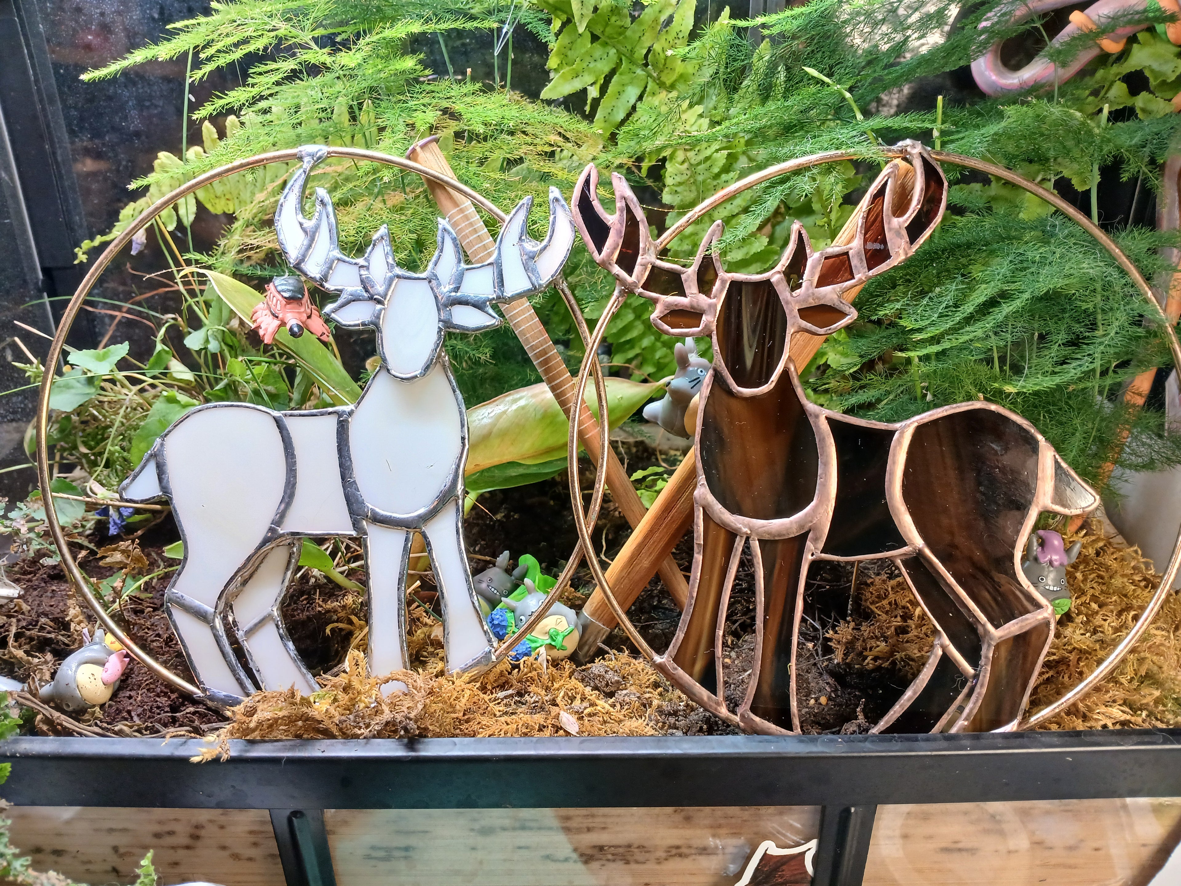 Dark and Light Stags