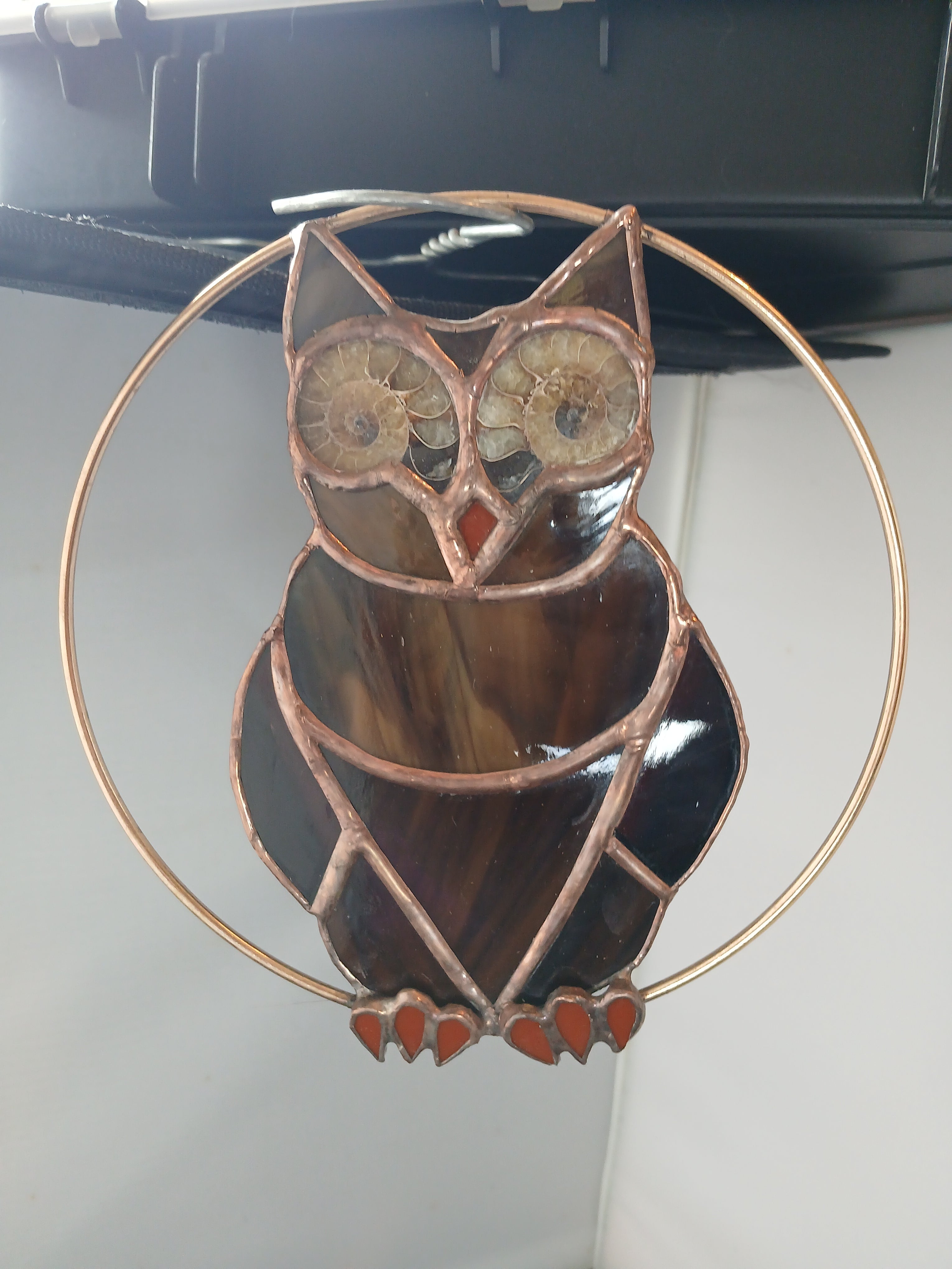 Ammonite Owl