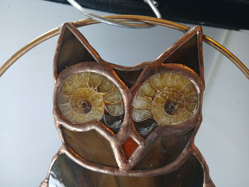 Ammonite Owl