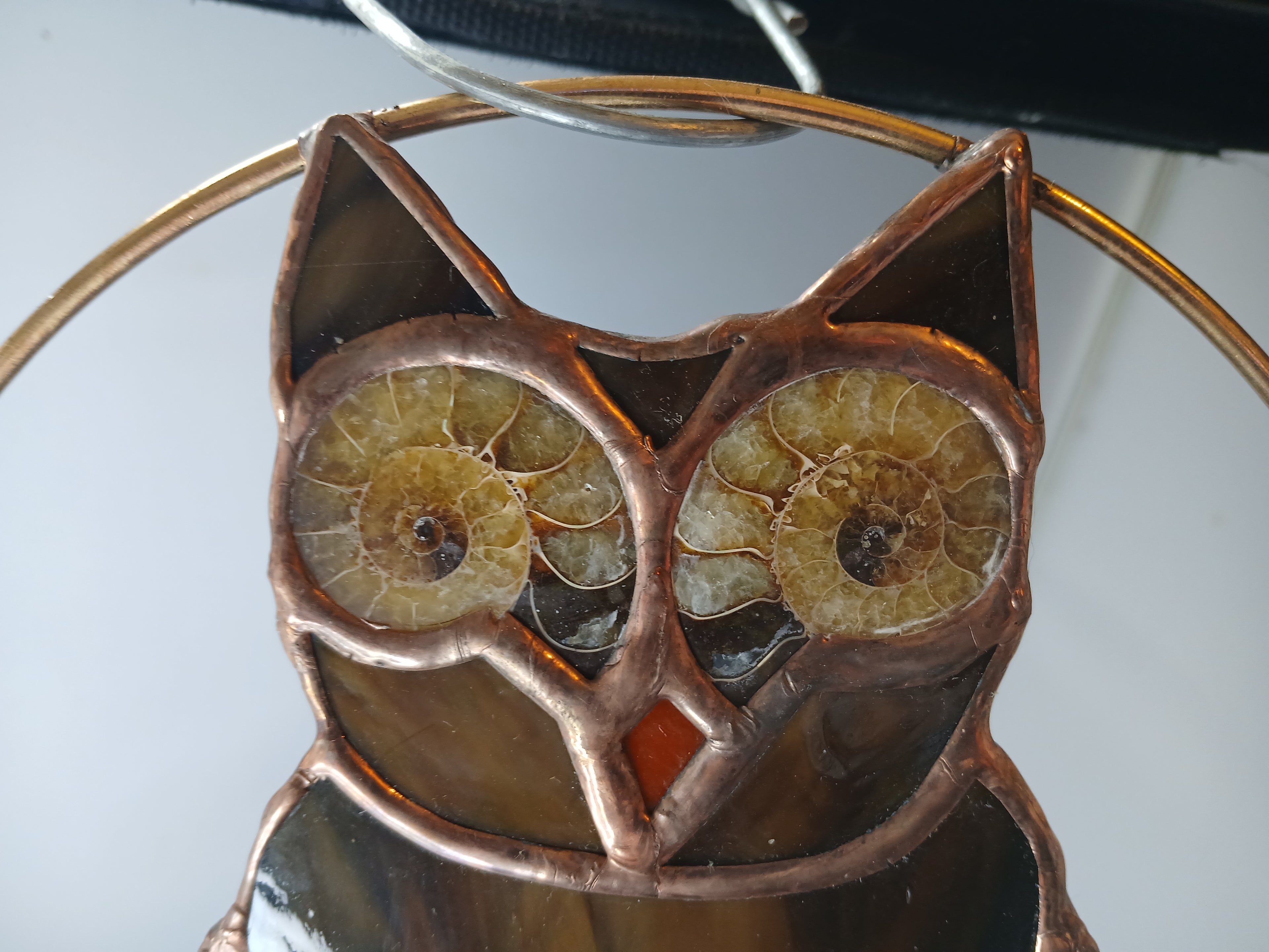 Ammonite Owl