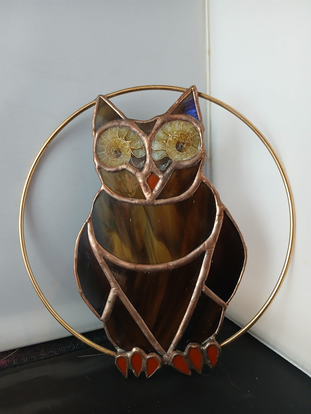 Ammonite Owl