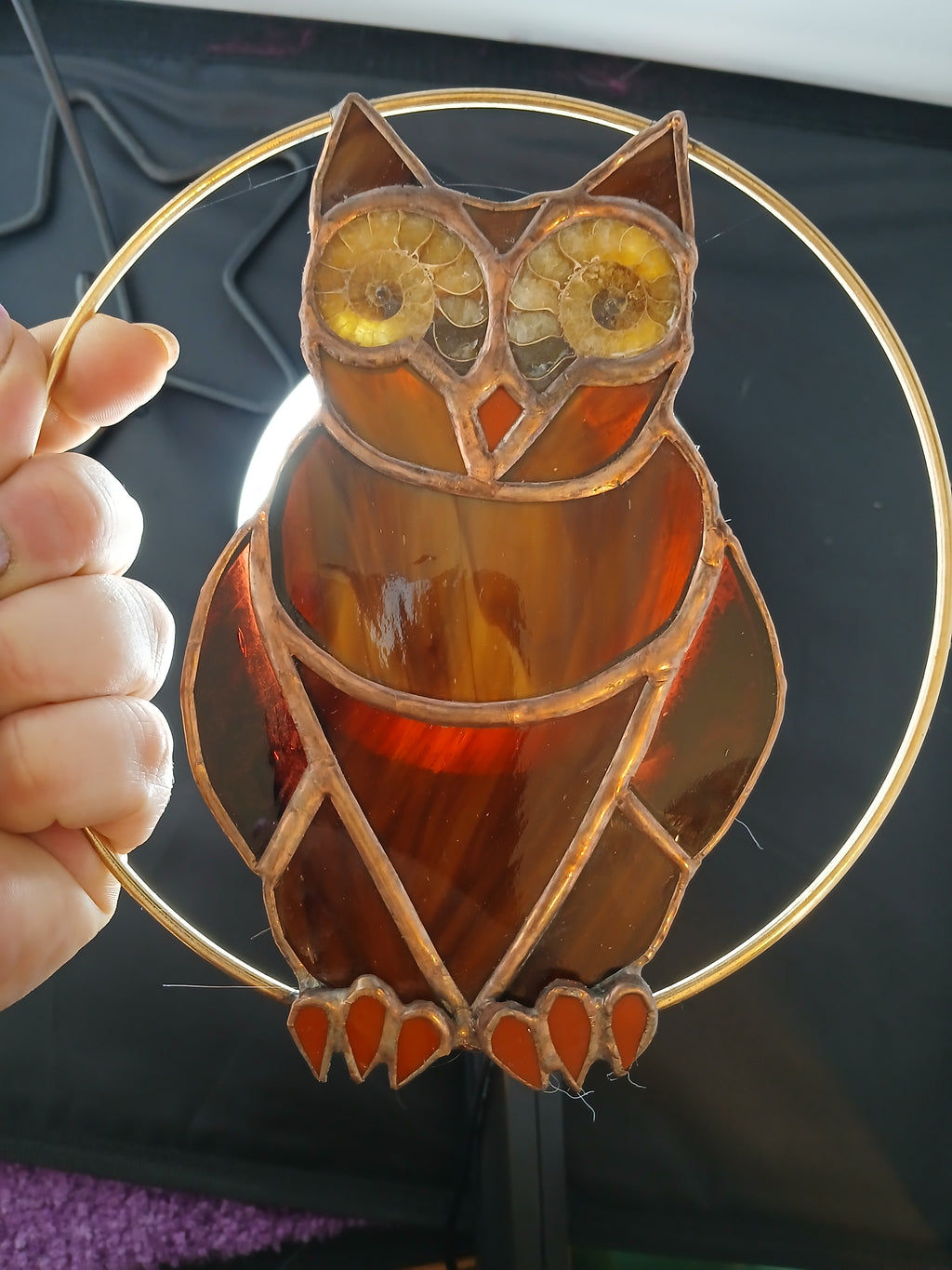 Ammonite Owl