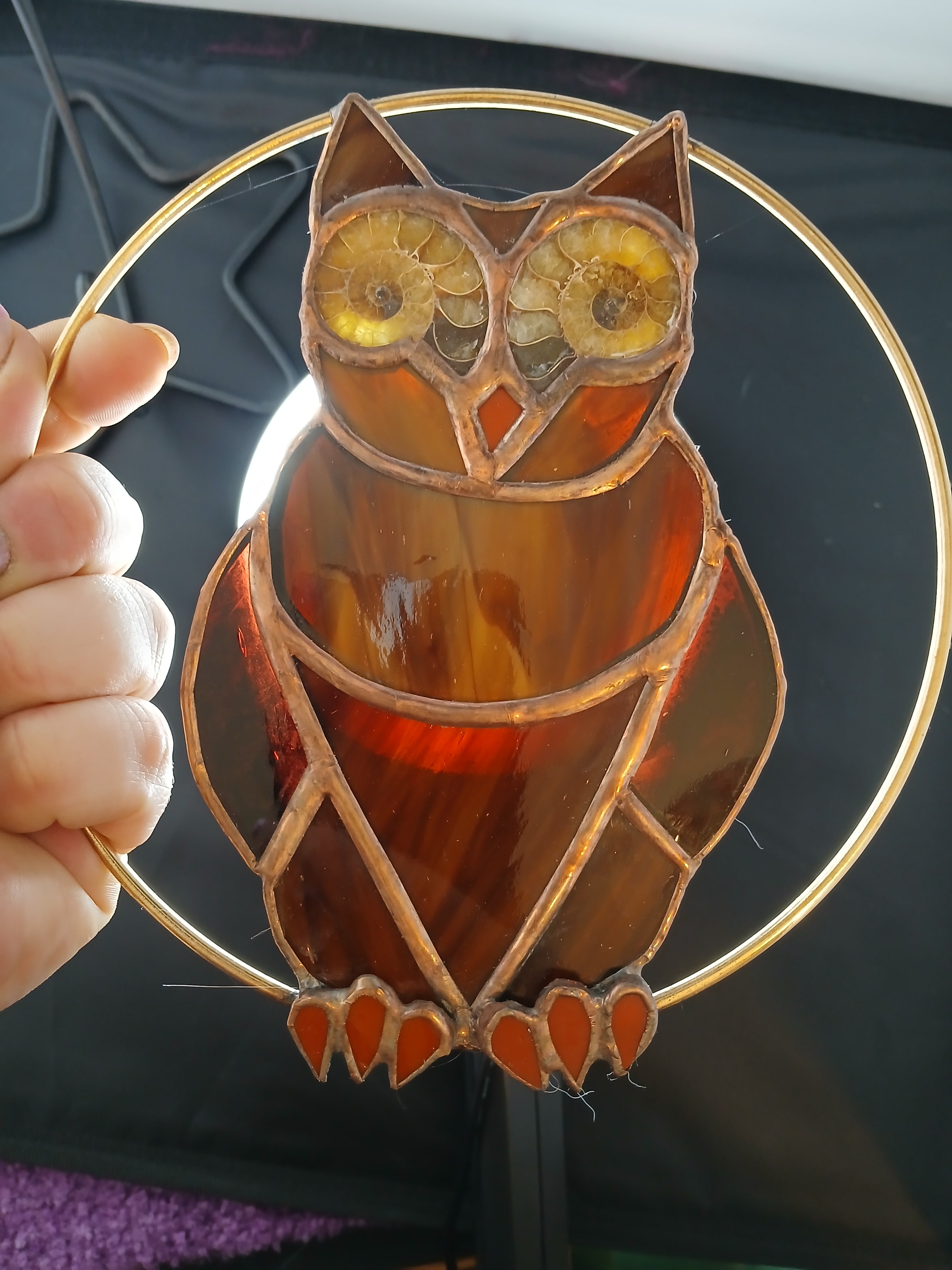 Ammonite Owl