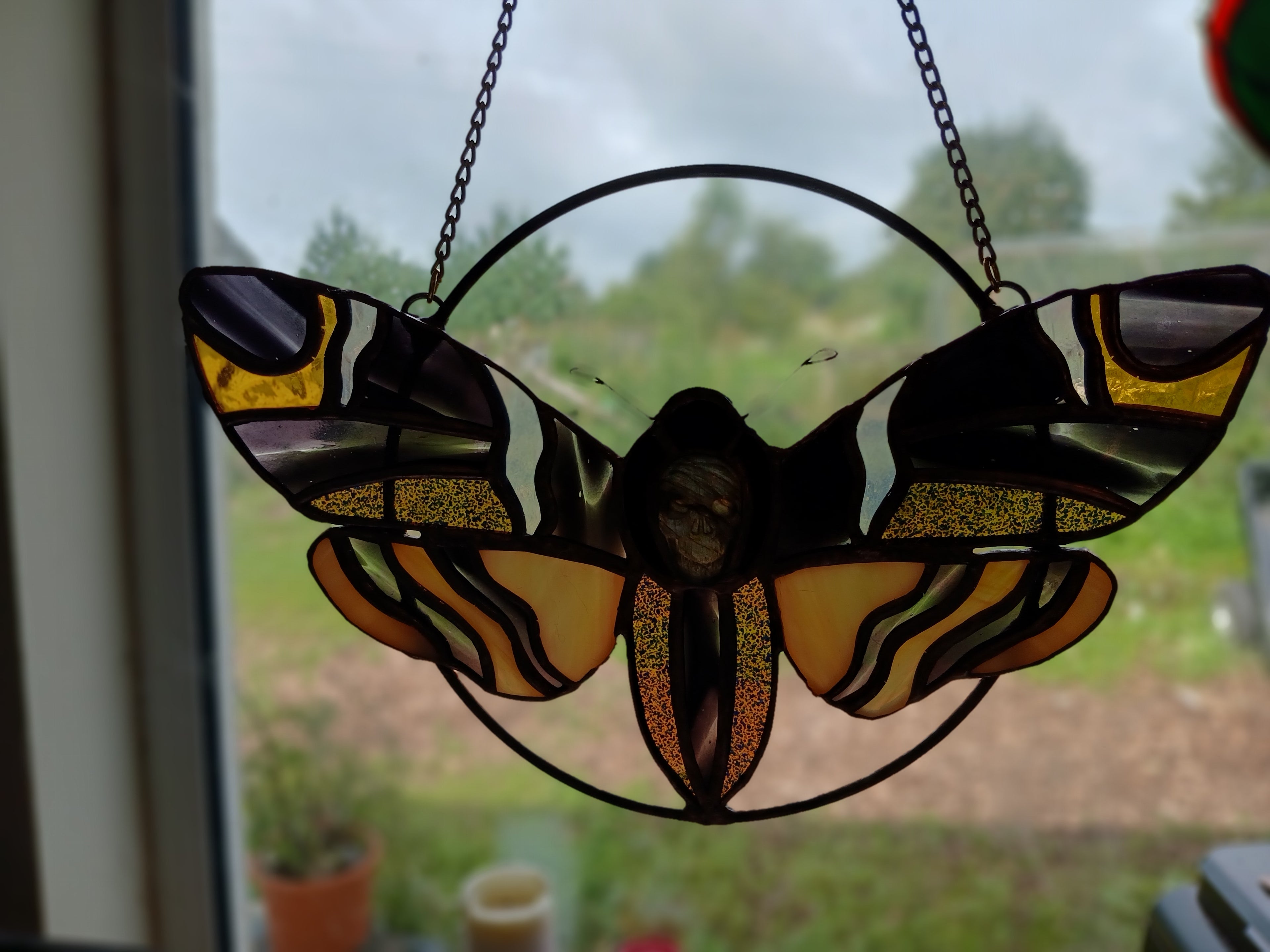 Death's-head Hawkmoth Suncatcher