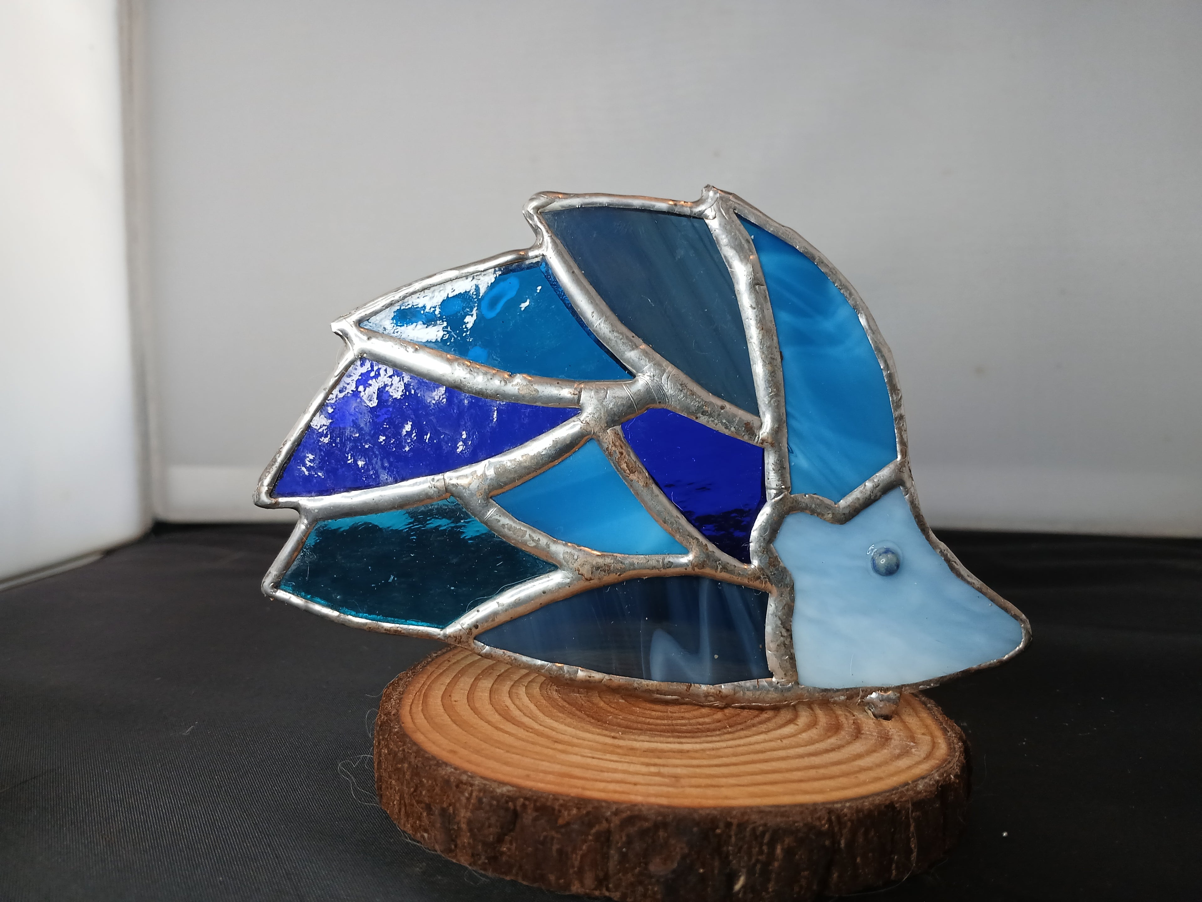 Little Blue Hedgehog