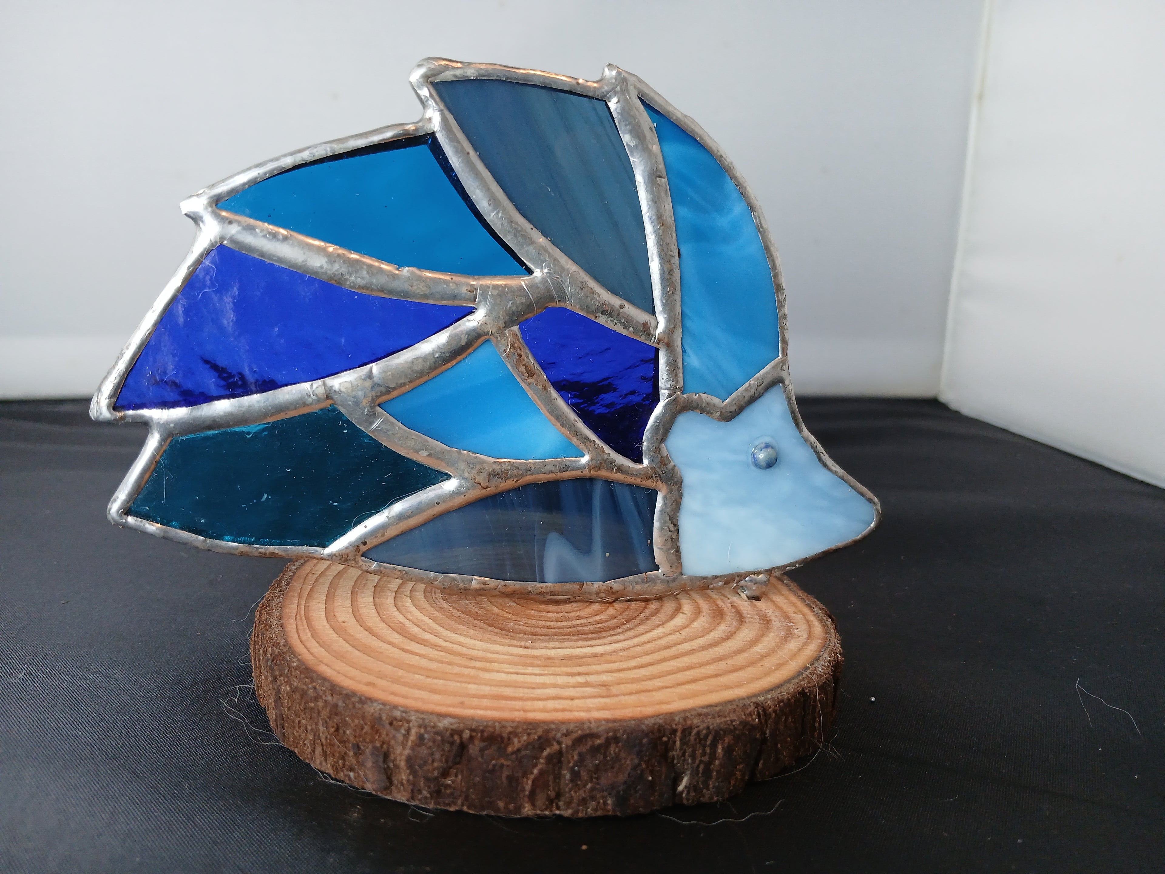 Little Blue Hedgehog