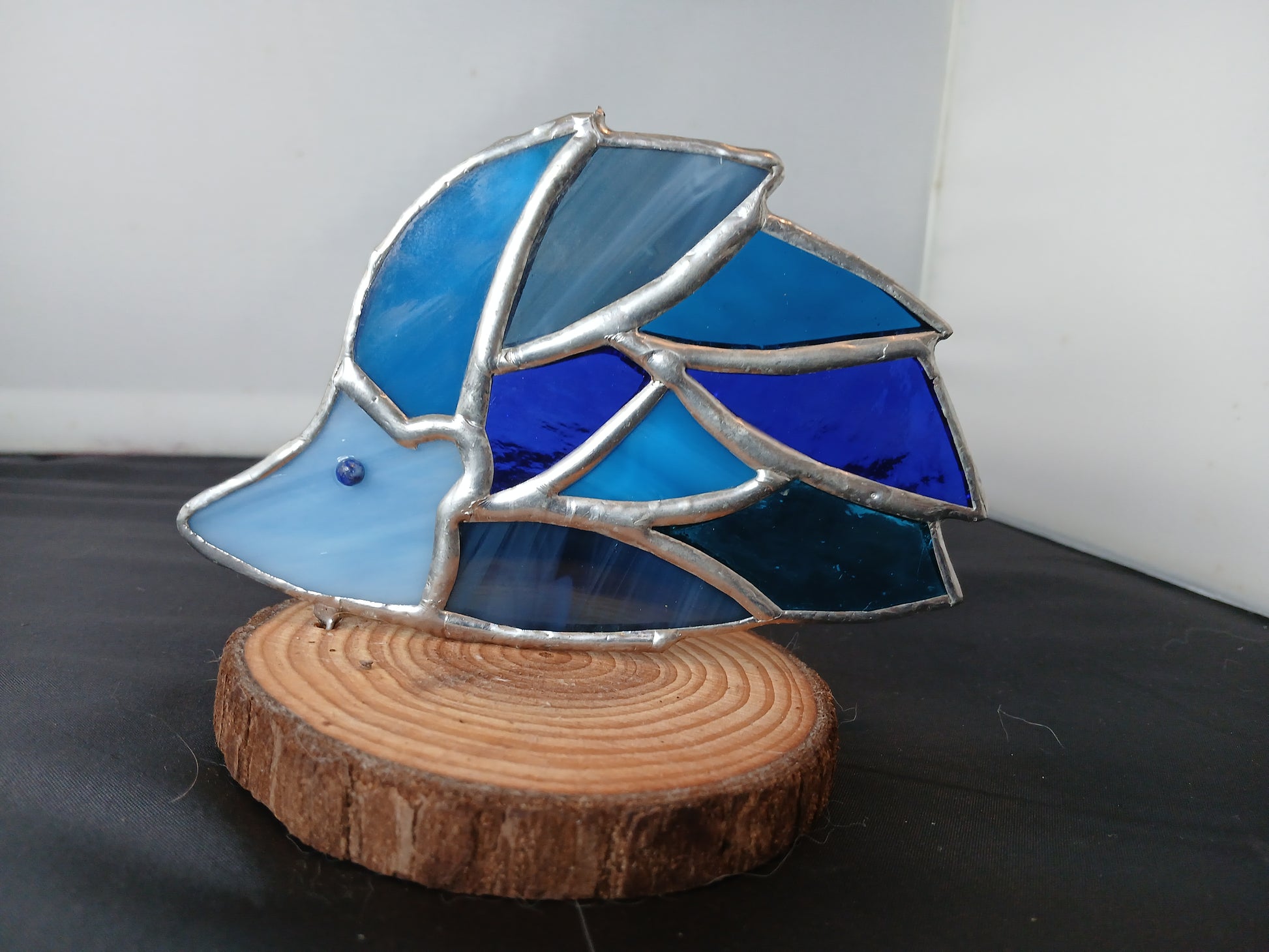 Little Blue Hedgehog
