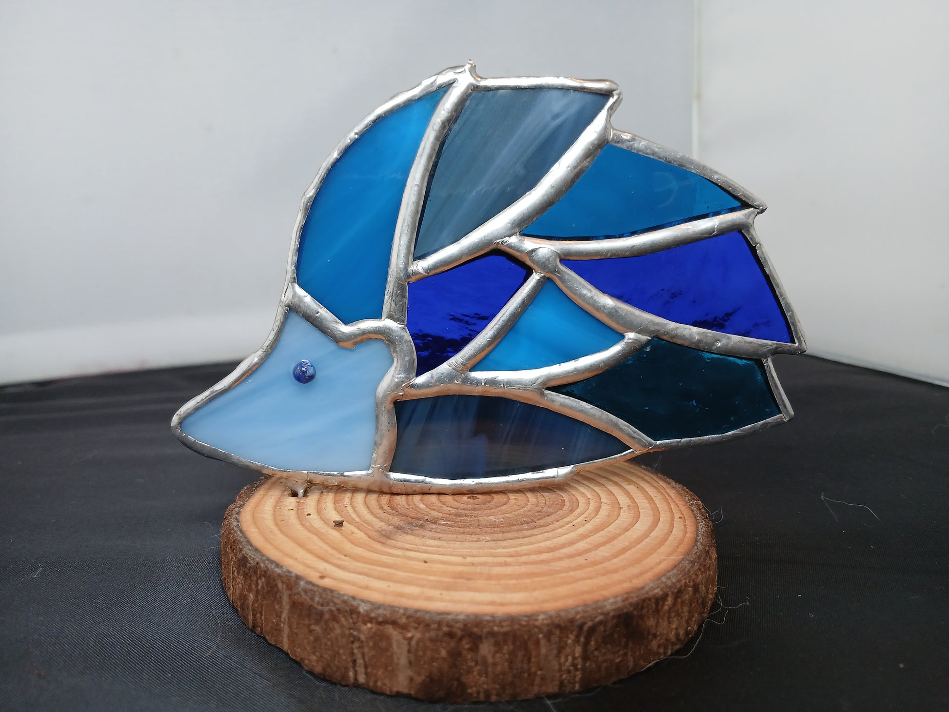 Little Blue Hedgehog