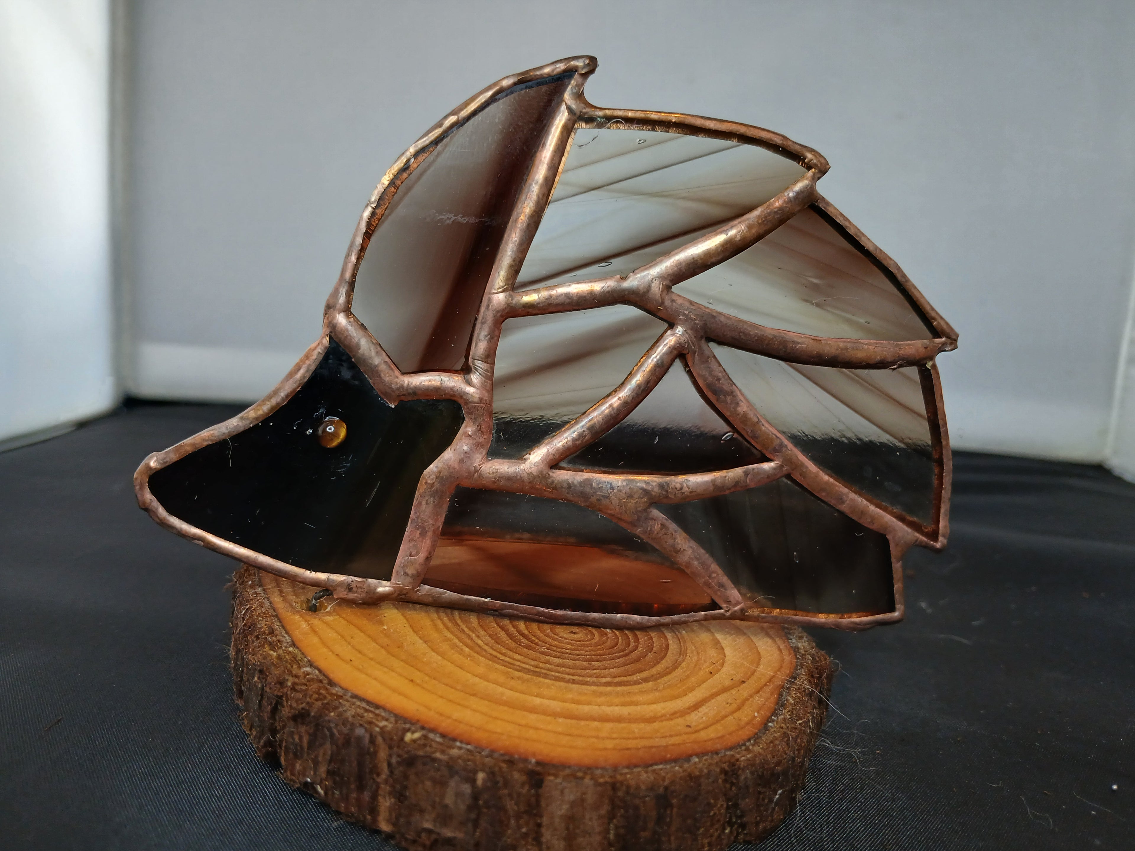 Little Brown Hedgehog