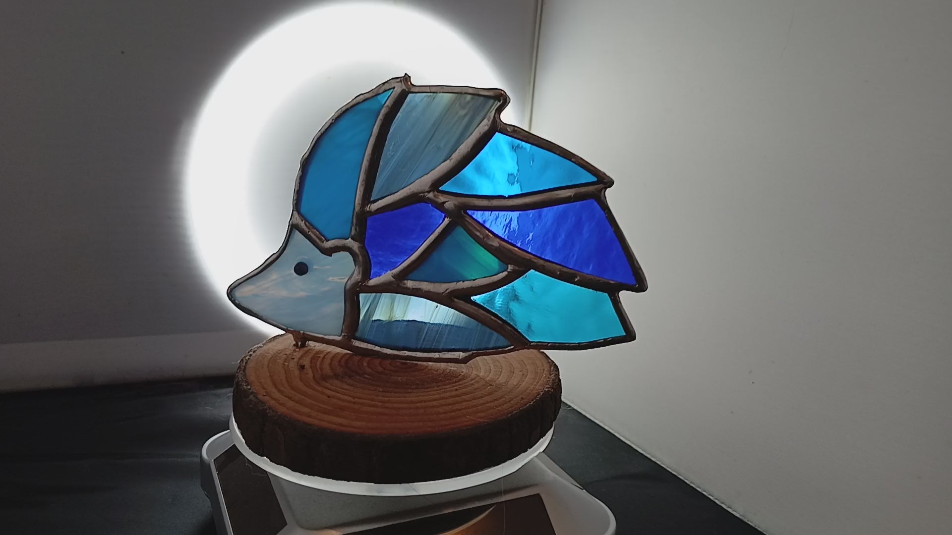 Little Blue Hedgehog