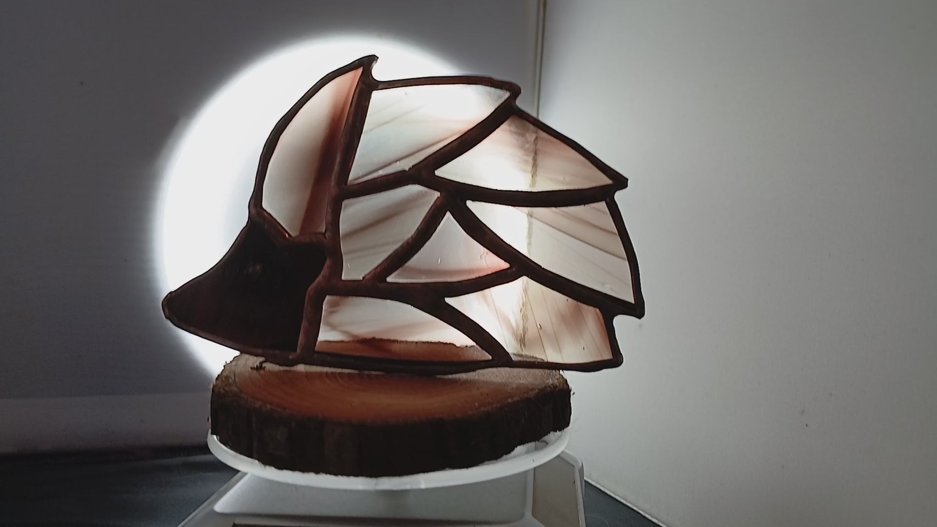 Little Brown Hedgehog